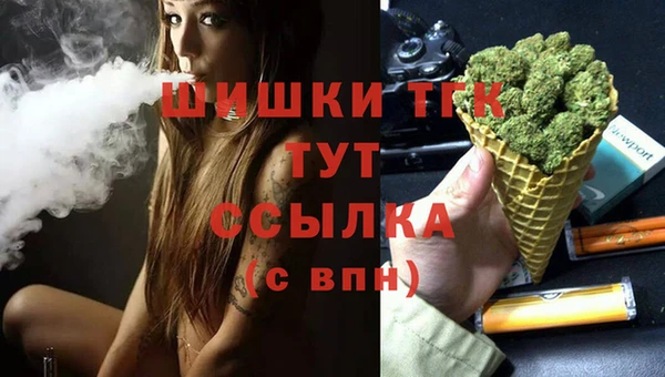 прущие крисы Абаза